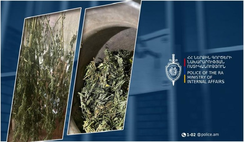 Լոռու քրեական ոստիկանները 7 կիլոգրամից ավելի թմրամիջոց են հայտնաբերել. 53-ամյա վանաձորցին ձերբակալվել է