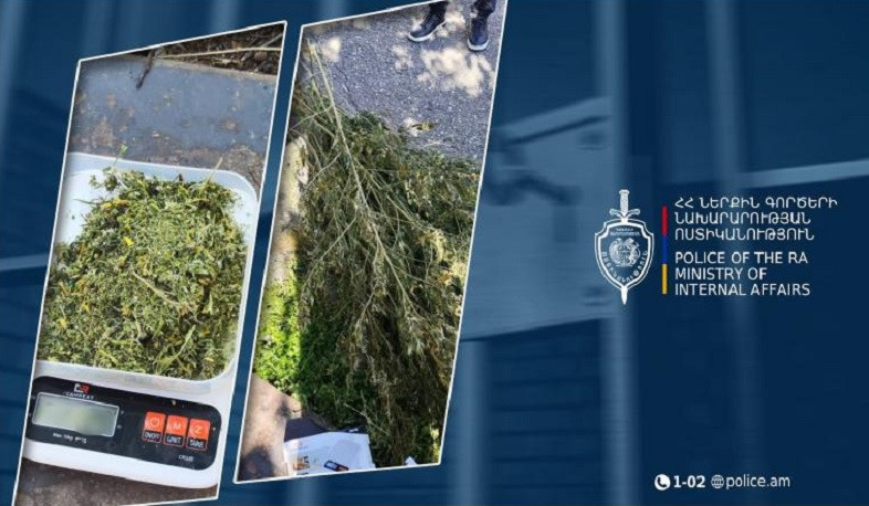 Շիրակի քրեական ոստիկանները 37-ամյա գյումրեցու խորդանոցում մոտ 1,5 կգ մարիխուանա են հայտնաբերել