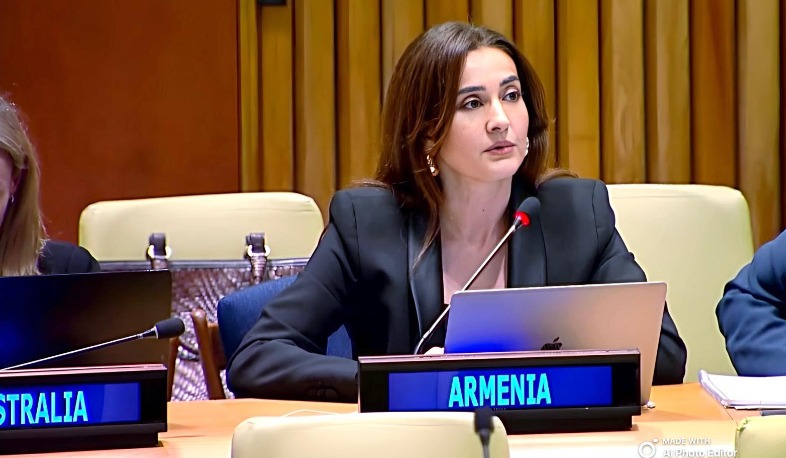 Ermənistan beynəlxalq öhdəliklərini yerinə yetirməyə və onları daxili hüquq sisteminə səmərəli şəkildə tətbiq etməyə sadiqdir։ Varduhi Melikyan