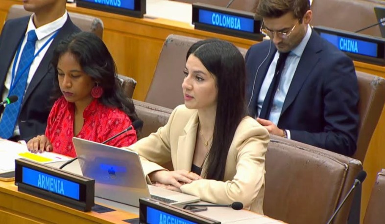 Որպես COP17-ը հյուրընկալող երկիր՝ Հայաստանը նպատակ ունի բարձրացնել կենսաբազմազանության կորստից և շրջակա միջավայրի աղտոտումից առավել տուժածների խնդիրները