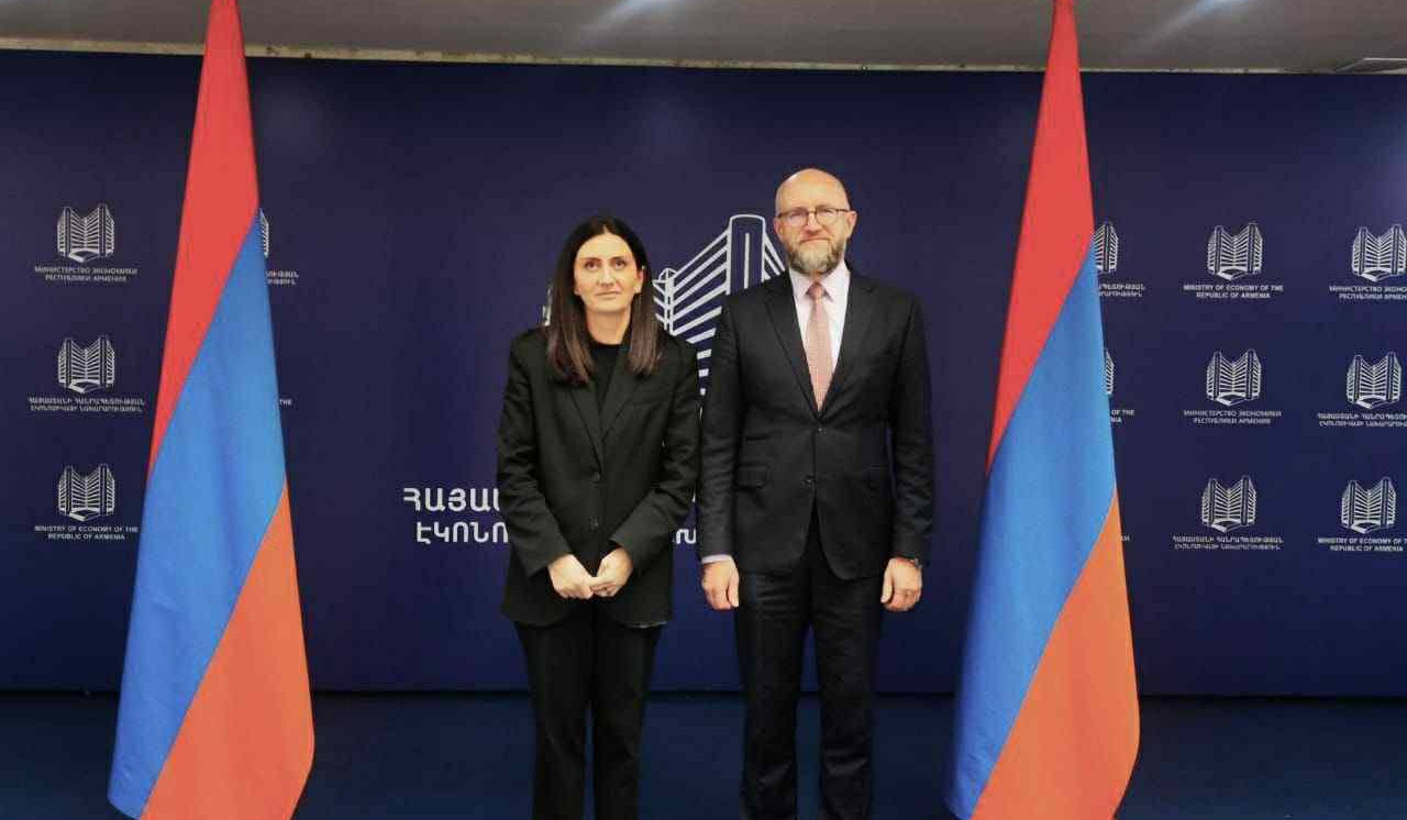 Էկոնոմիկայի նախարարի տեղակալը ԵՆԱԲ փոխնախագահին է ներկայացրել ընթացիկ խոշոր ենթակառուցվածքային ծրագրերը