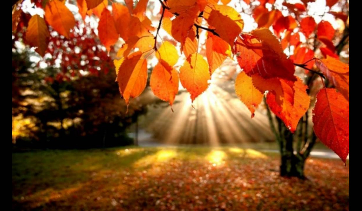 Սպասվում է առանց տեղումների եղանակ. ջերմաստիճանը կբարձրանա 5-8 աստիճանով