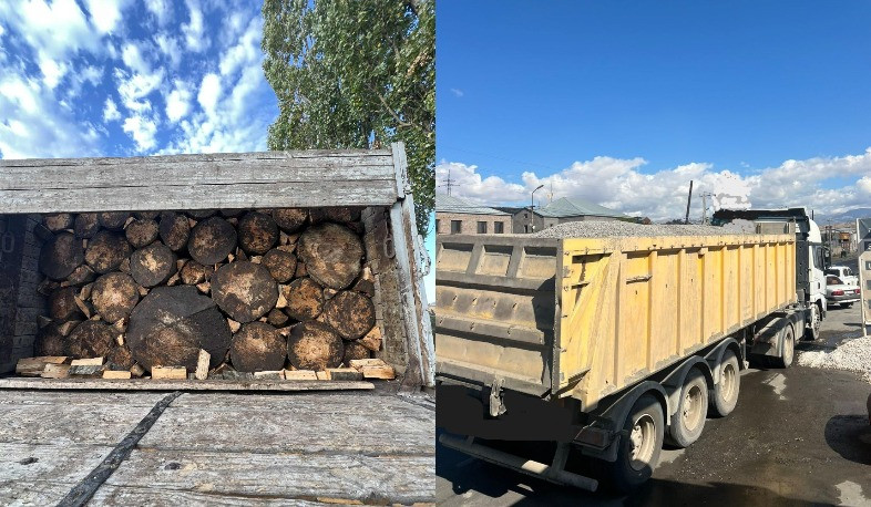 ԲԸՏՄ ստուգայցերի ընթացքում հայտնաբերվել են ապօրինի փայտանյութ և օդի աղտոտման դեպքեր