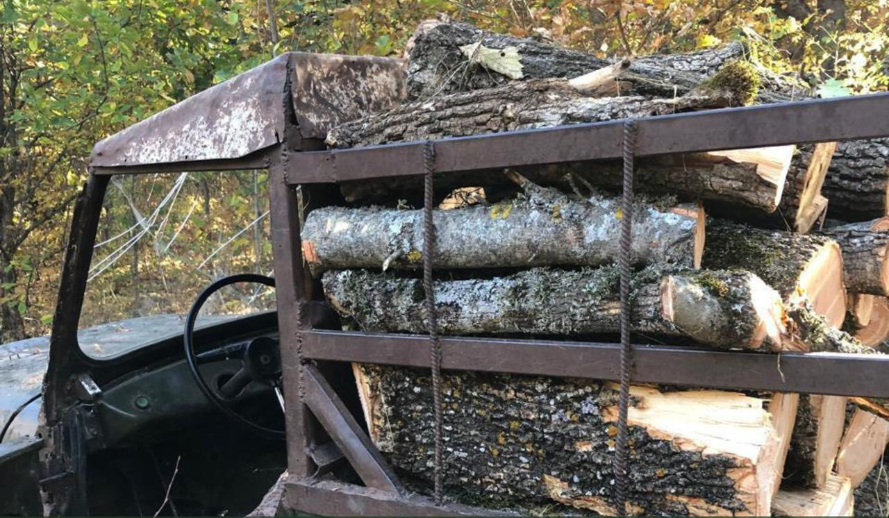 Բացահայտվել է ապօրինի ծառահատման հերթական դեպքը