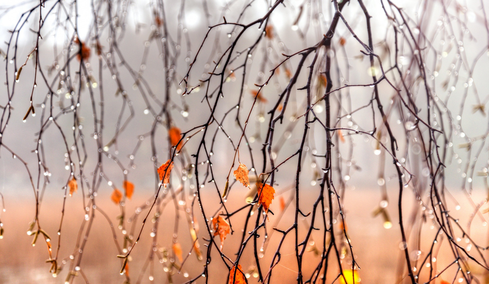 Հանրապետության առանձին շրջաններում սպասվում է կարճատև անձրև