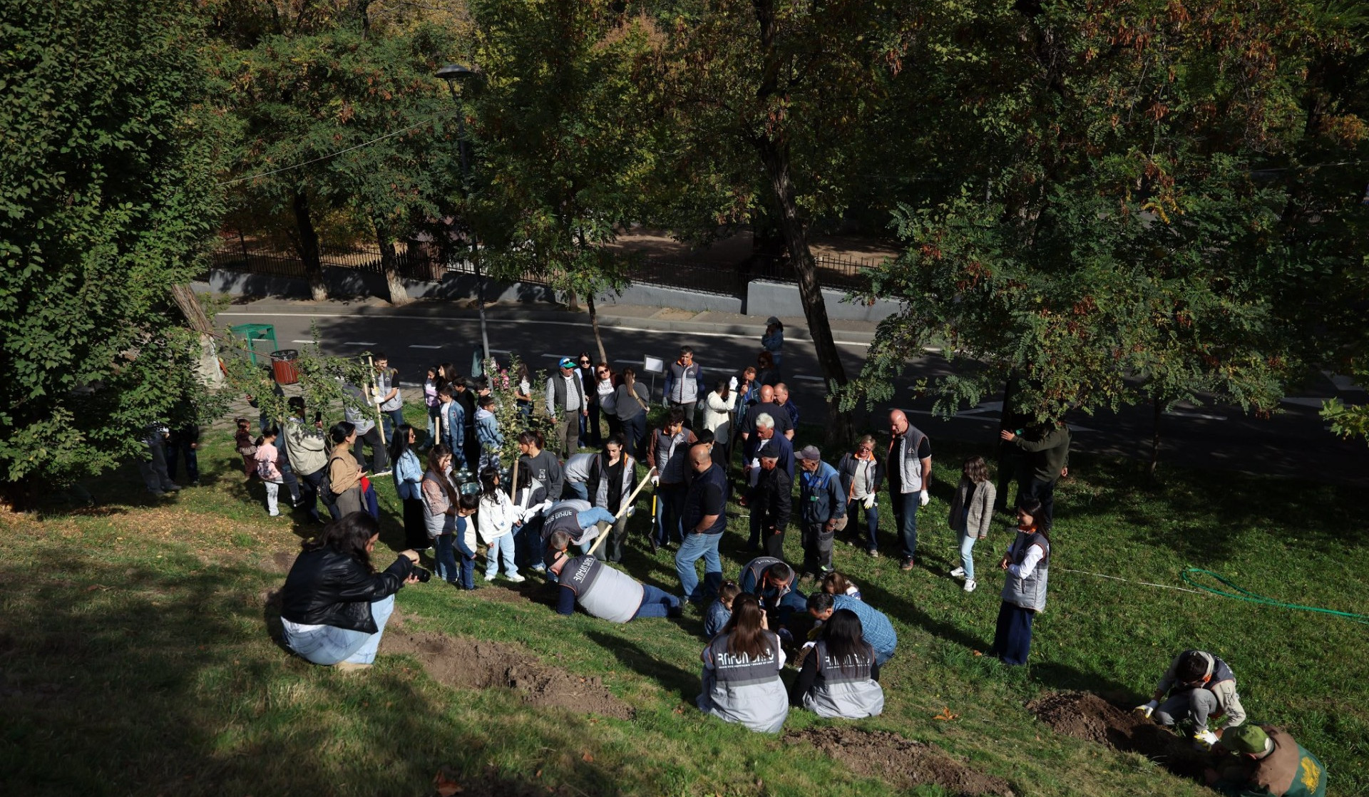 Կենդանաբանական այգու ծառուղիներում այսօր ավելի քան 100 արծաթափայլ եղևնու տնկիներ են տնկվել