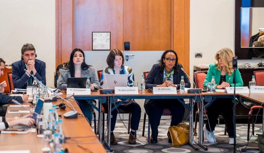 Աննա Կարապետյանը միջազգային գործընկերներին է ներկայացրել Անչափահասների արդարադատության խորհրդի գործունեությունը