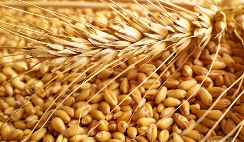 Շուտով Ակտաու-Բաքու, այնուհետև՝ ադրբեջանական ու վրացական երկաթգծով ՀՀ կմտնի ղազախական ցորենի առաջին խմբաքանակը. Պապոյան