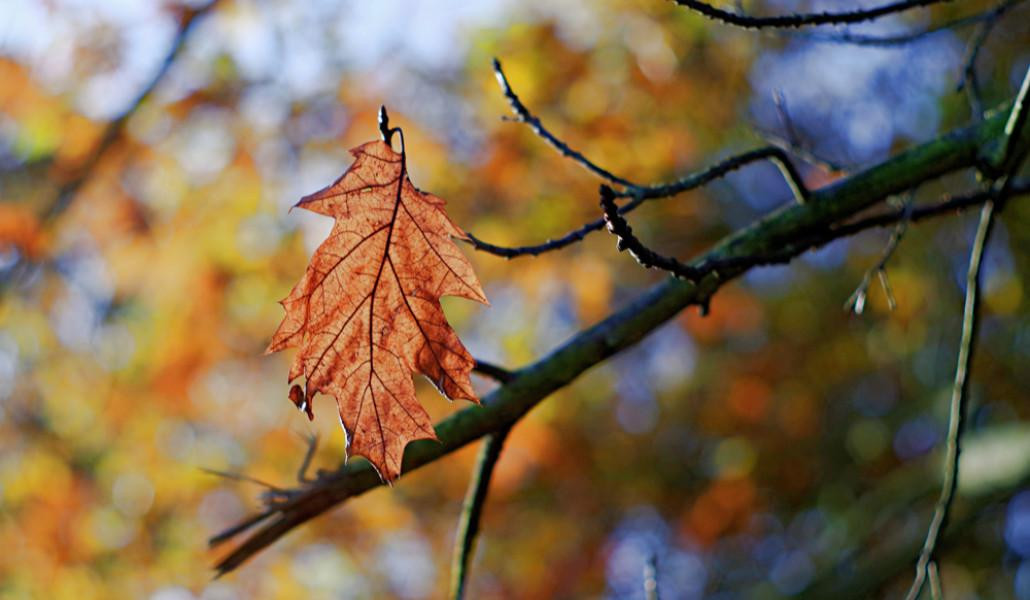 Առաջիկա օրերին՝ կարճատև անձրև․ ջերմաստիճանը կբարձրանա 3-5 աստիճանով