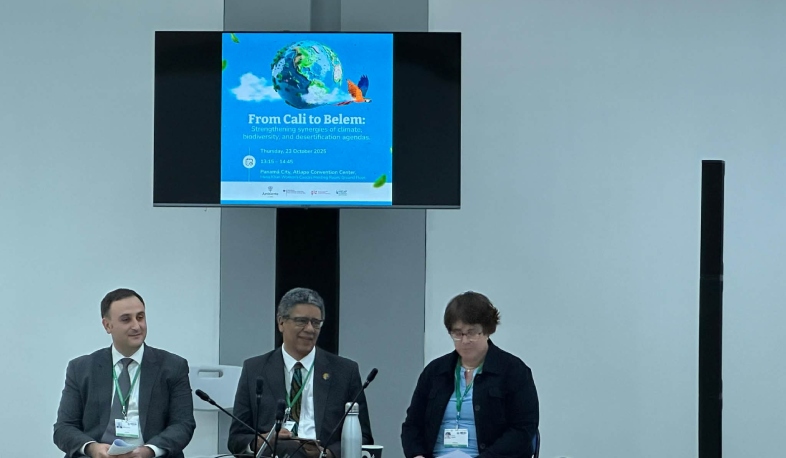 Կալիից Բելեմ և Բելեմից դեպի Երևան, մեր նպատակը մեկն է՝ ամրապնդել միջազգային համագործակցությունը և դարձնել բնապահպանական քաղաքականությունը գործողություն․ Արամ Մեյմարյան