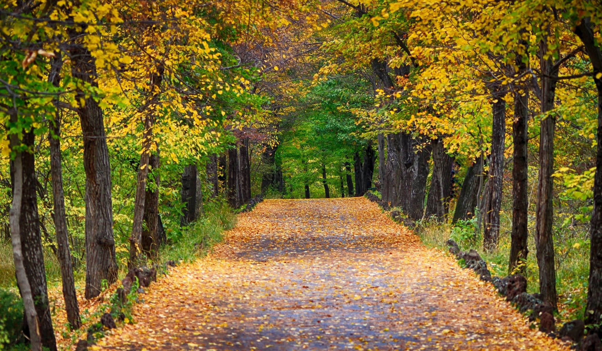 Հանրապետությունում օդի ջերմաստիճանը էապես չի փոխվի