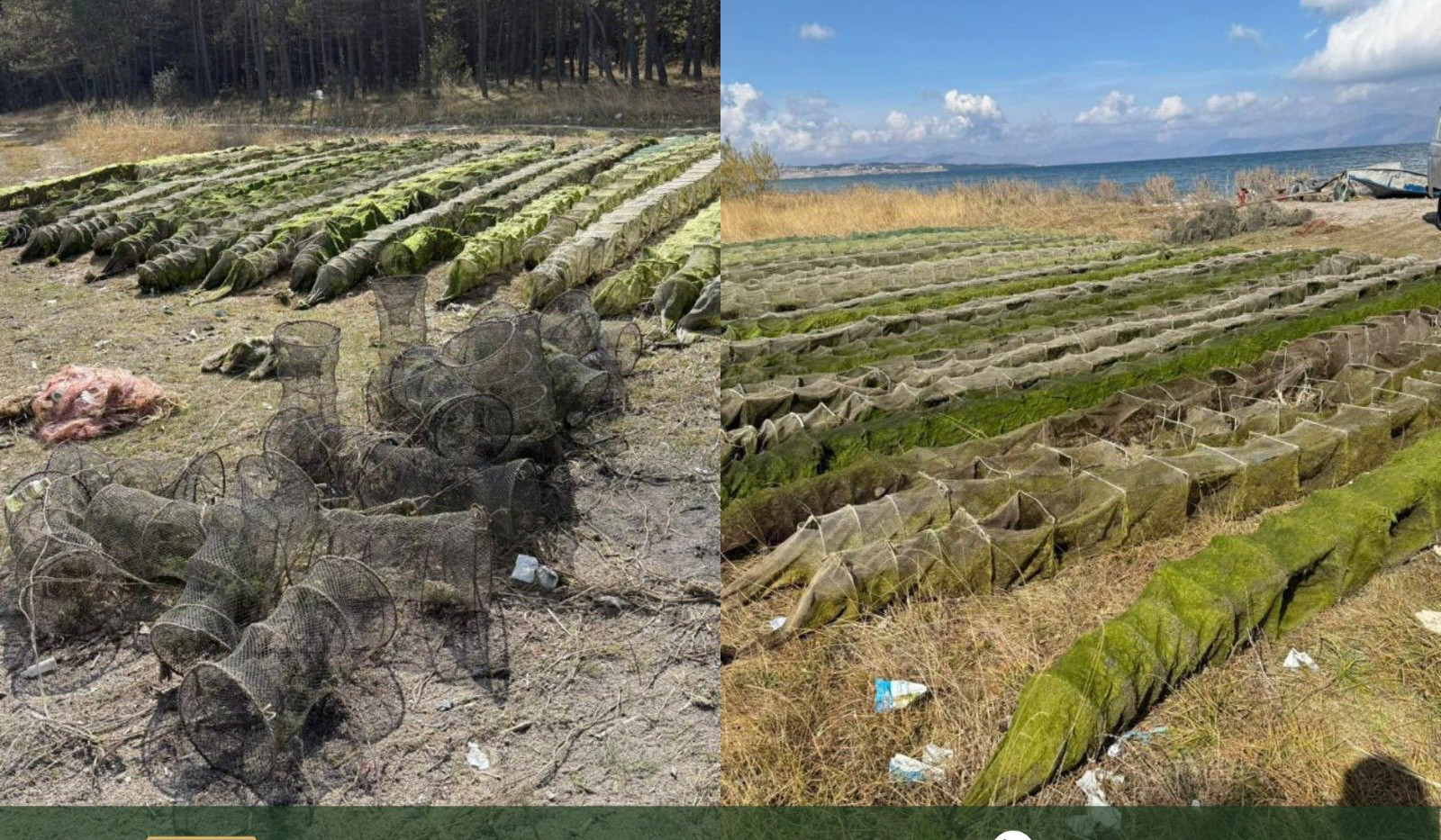 Սևանա լճում հայտնաբերվել են ապօրինի 67 խեցգետնորսիչ և 18 ձկնորսական ցանց