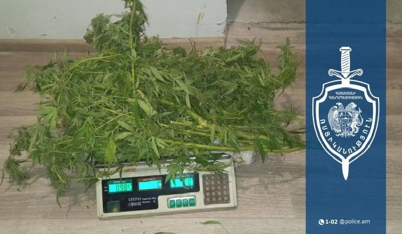 Համայնքային ոստիկանները սուրենավանցու հողամասում կանեփի բույսեր են հայտնաբերել