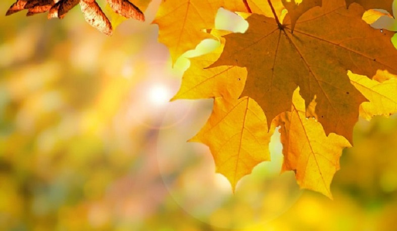 Հոկտեմբերի 30-ի ցերեկը, 31-ին, նոյեմբերի 1-3-ը սպասվում է առանց տեղումների եղանակ