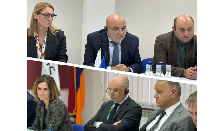 Մենք այստեղ ենք՝ մանրամասն ծանոթանալու այն մարտահրավերներին, որոնց բախվում է Հայաստանի մեդիա համակարգը. Նատալի Փաուելս