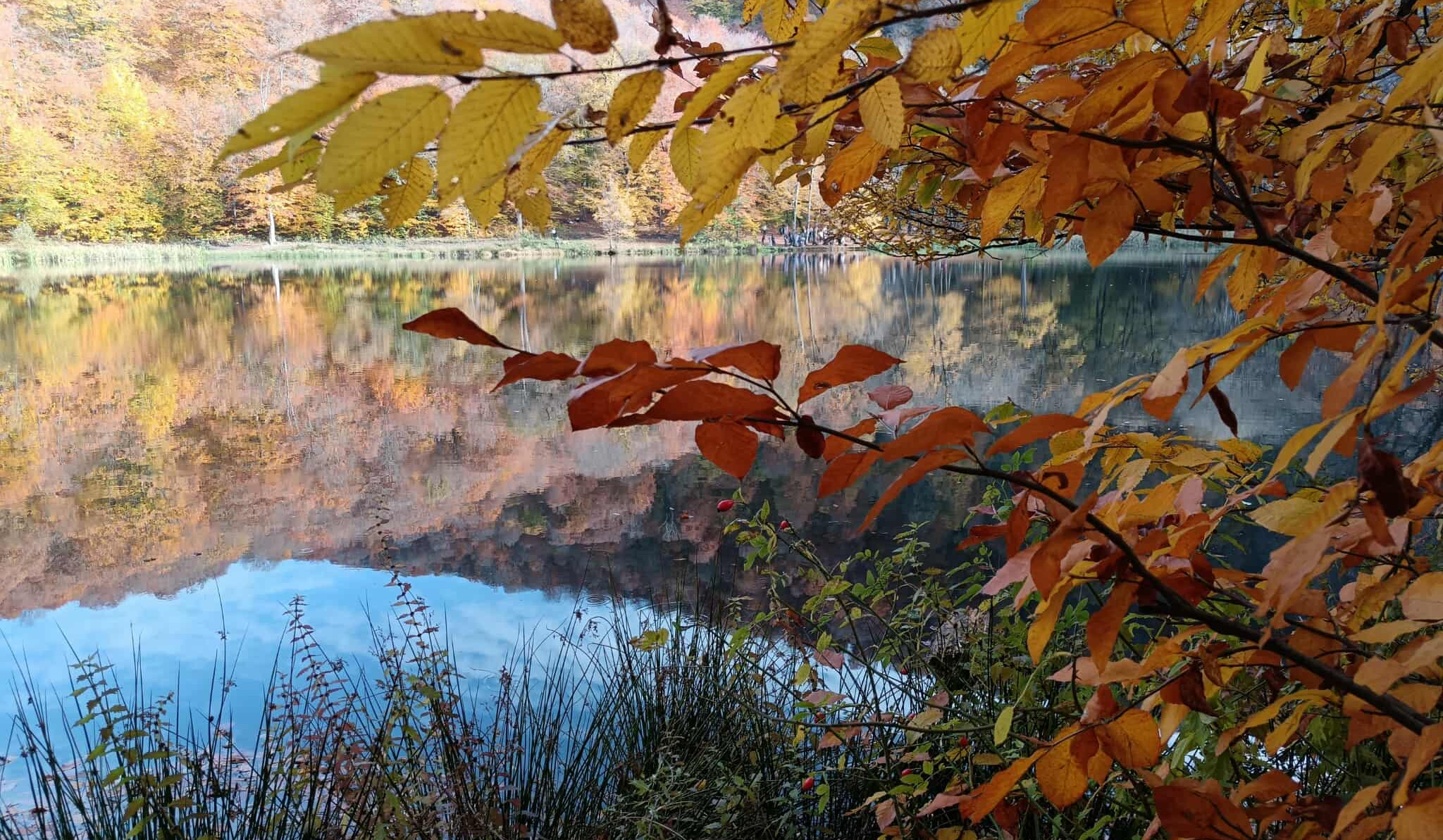Օդի ջերմաստիճանը նոյեմբերի 1-2-ը կբարձրանա 2-3 աստիճանով. սպասվում է առանց տեղումների եղանակ