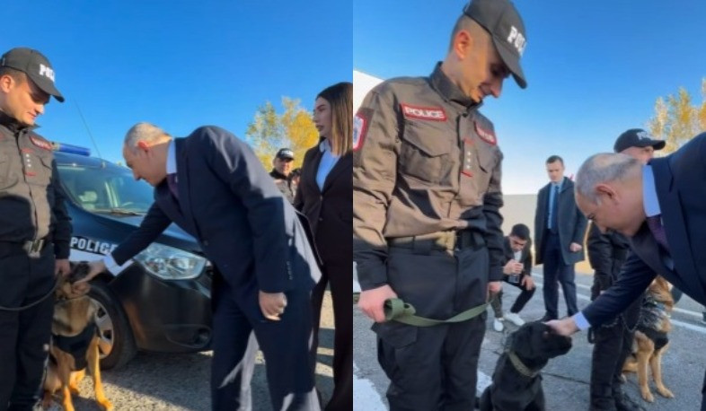 Ոստիկանության գվարդիայի ծառայողական շները. վարչապետը տեսանյութ է հրապարակել