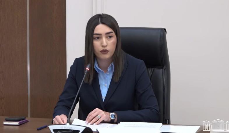 Հաշվետու տարում 4 տոկոսով նվազել են անչափահասների կողմից կատարված հանցագործությունները. ՆԳ նախարար