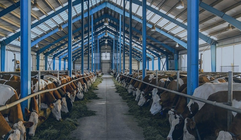 Կլավարկվի «խելացի» անասնաշենքերի կառուցման կամ վերակառուցման և դրանց տեխնոլոգիական ապահովման աջակցության ծրագիրը