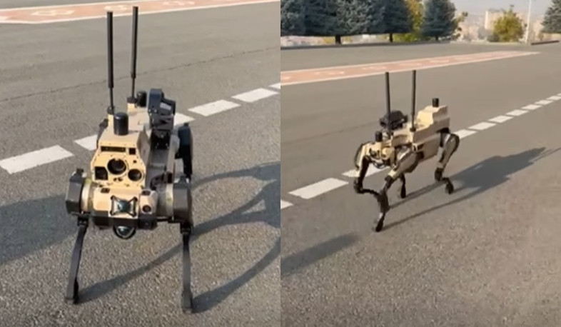 New friend for our soldiers: Prime Minister shares video