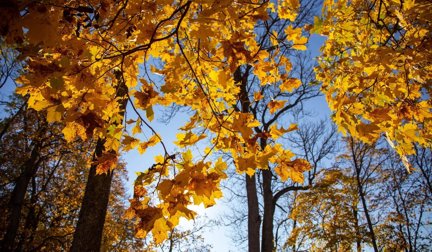 Օդի ջերմաստիճանը աստիճանաբար կբարձրանա ևս 1-2 աստիճանով