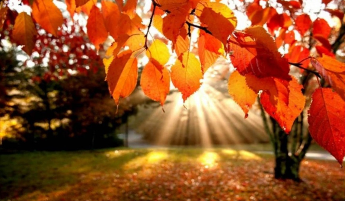 Սպասվում է առանց տեղումների եղանակ. ջերմաստիճանը էապես չի փոխվի