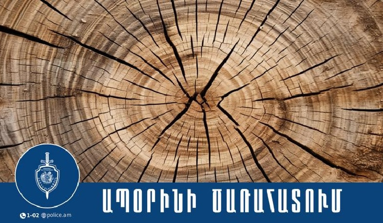 Սյունիքի մարզի պարեկները ապօրինի ծառահատման դեպք են բացահայտել