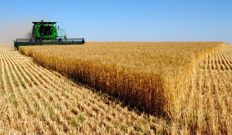 Absolute nonsense: Prime Minister on intention to replace Russian grain with Ukrainian