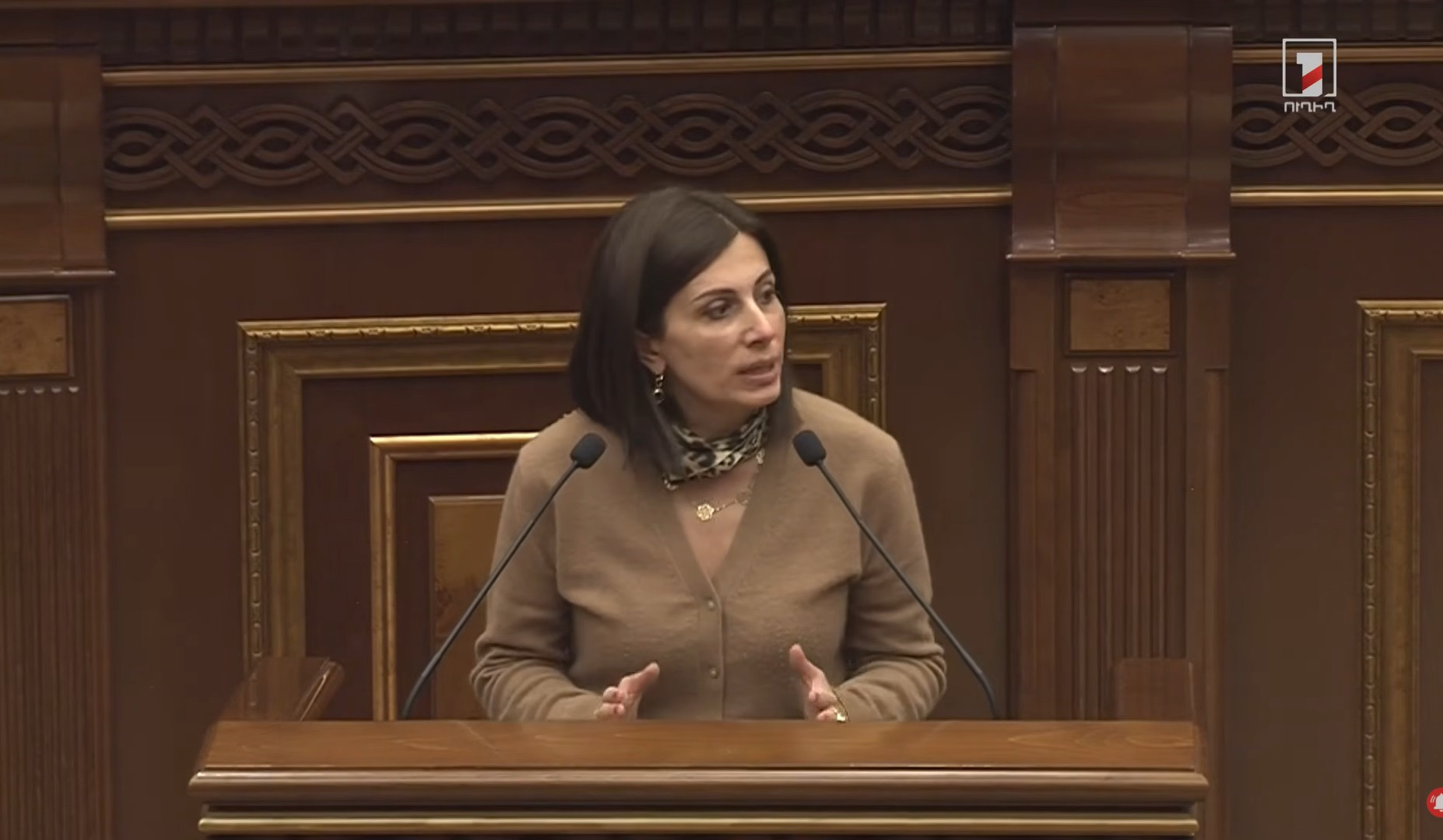 2028-ին արդեն մեր երկրի ամբողջ բնակչությունը պետք է դառնա առողջության ապահովագրության շահառու. Ավանեսյան