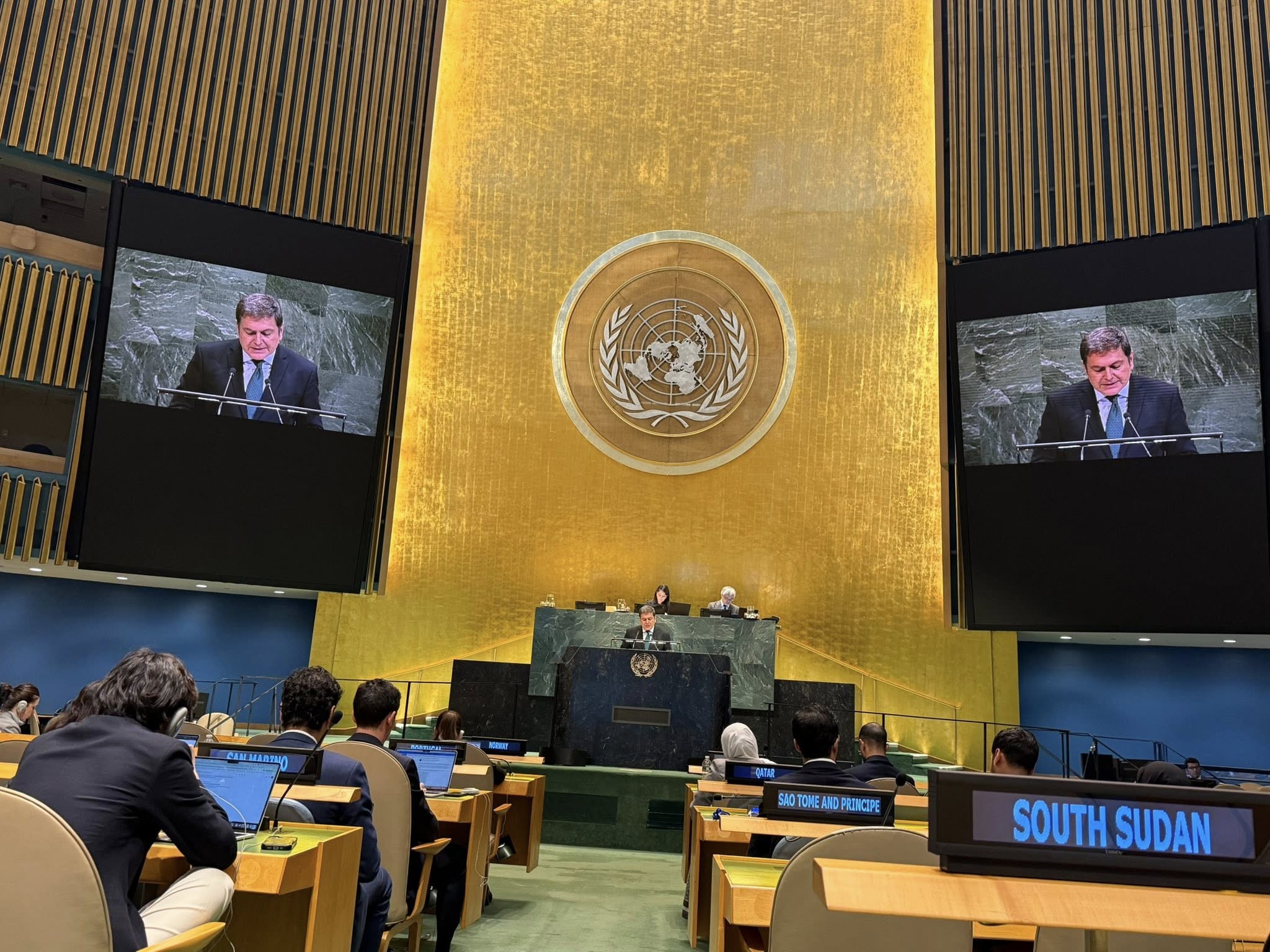 Ստանձնելով պարտավորությունները՝ Հայաստանը վերահաստատում է իր հանձնառությունը Տնտեսական և սոցիալական խորհրդին՝ որպես ՄԱԿ-ի համակարգի հենասյուն