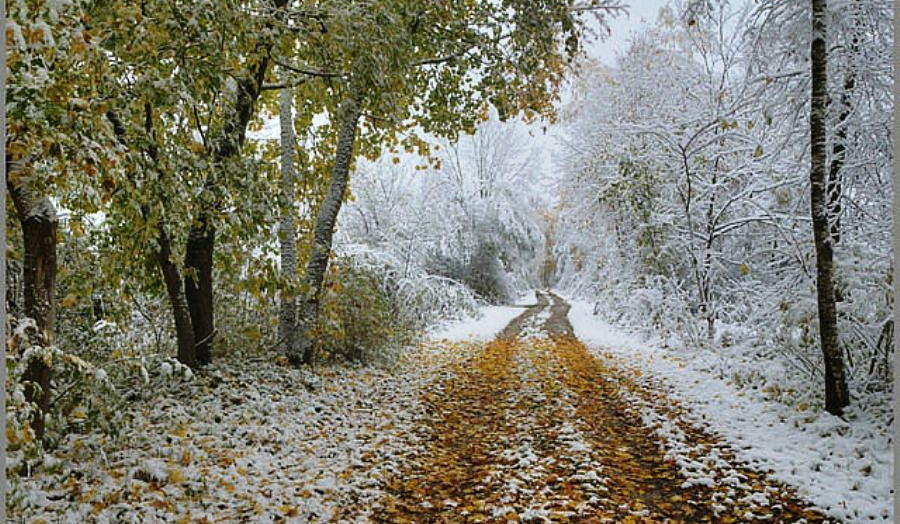 Հանրապետության առանձին շրջաններում սպասվում են տեղումներ, լեռնային գոտիներում՝ ձնախառն անձրևի տեսքով