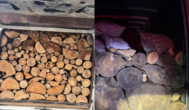 Փայտանյութ տեղափոխող մեքենաների վարորդների ներկայացրած փաստաթղթերը կասկածներ են հարուցել