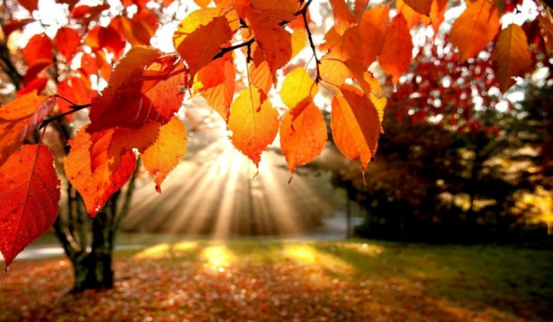 Օդի ջերմաստիճանն աստիճանաբար կբարձրանա 2-3 աստիճանով