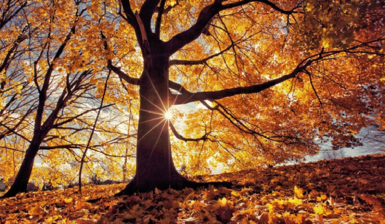 Ջերմաստիճանը աստիճանաբար կբարձրանա 3-4 աստիճանով