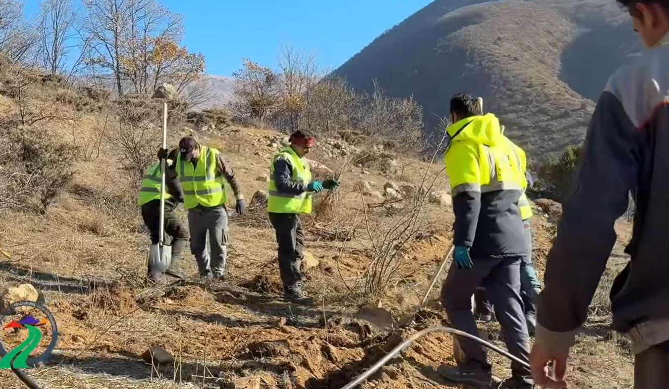 Մեղրիին հարակից մոտ 1.5 հեկտար տարածքում նախատեսվում է տնկել շուրջ 7500 ծառ