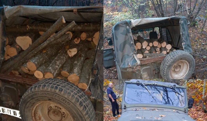 Էկոպարեկային ծառայության աշխատակիցները հայտնաբերել են 2 հատ բոխի և 1 հատ հաճարենի տեսակի հատված ծառ