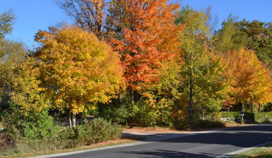 Առաջիկա օրերին սպասվում է առանց տեղումների եղանակ, որոշ մարզերում ջերմաստիճանը կբարձրանա