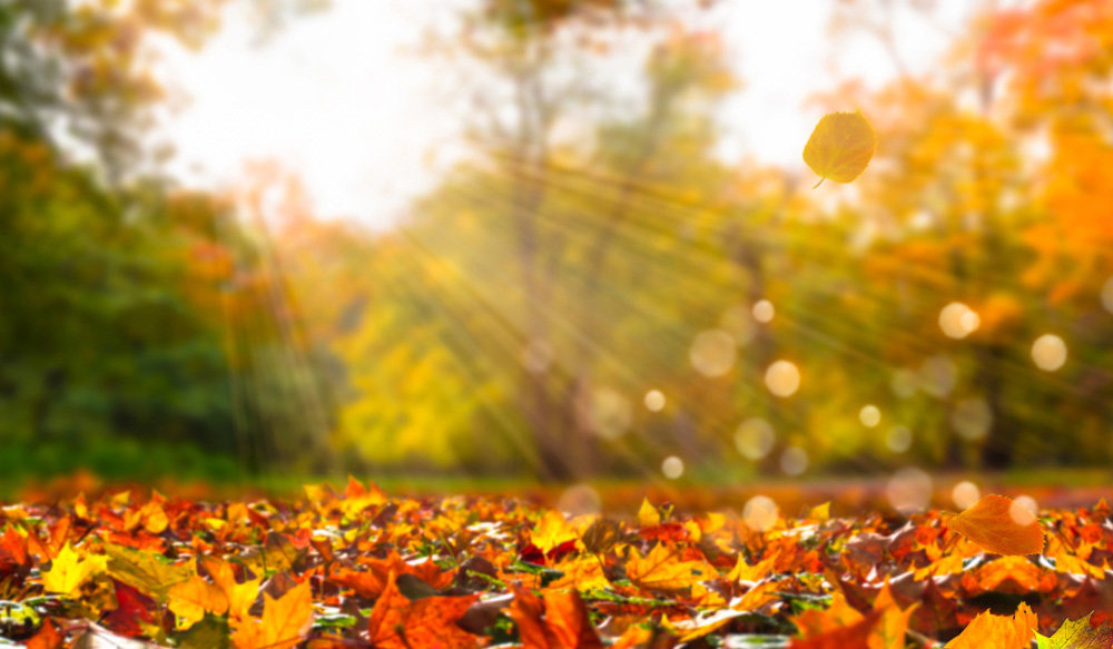 Առաջիկա օրերը՝ առանց տեղումների. ջերմաստիճանը էապես չի փոխվի