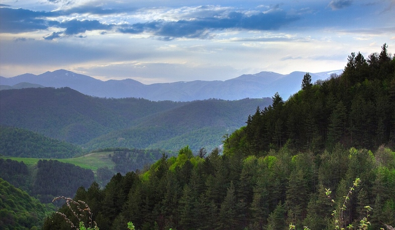 Ահազանգ է ստացվել, որ քաղաքացին մոլորվել է Դիլիջան համայնքի անտառում․ ՆԳՆ ՓԾ