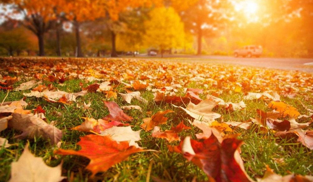 Օդի ջերմաստիճանը կբարձրանա ևս 1-2 աստիճանով, այնուհետև Էապես չի փոխվի