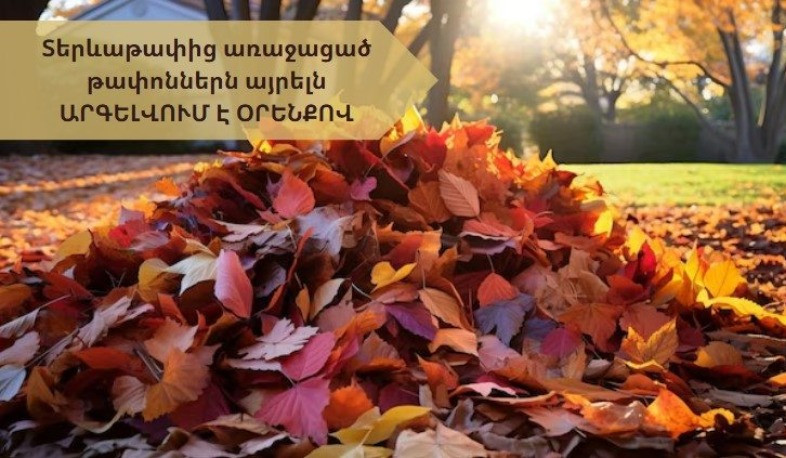 Տերևաթափից առաջացած թափոններն այրելն արգելվում է օրենքով