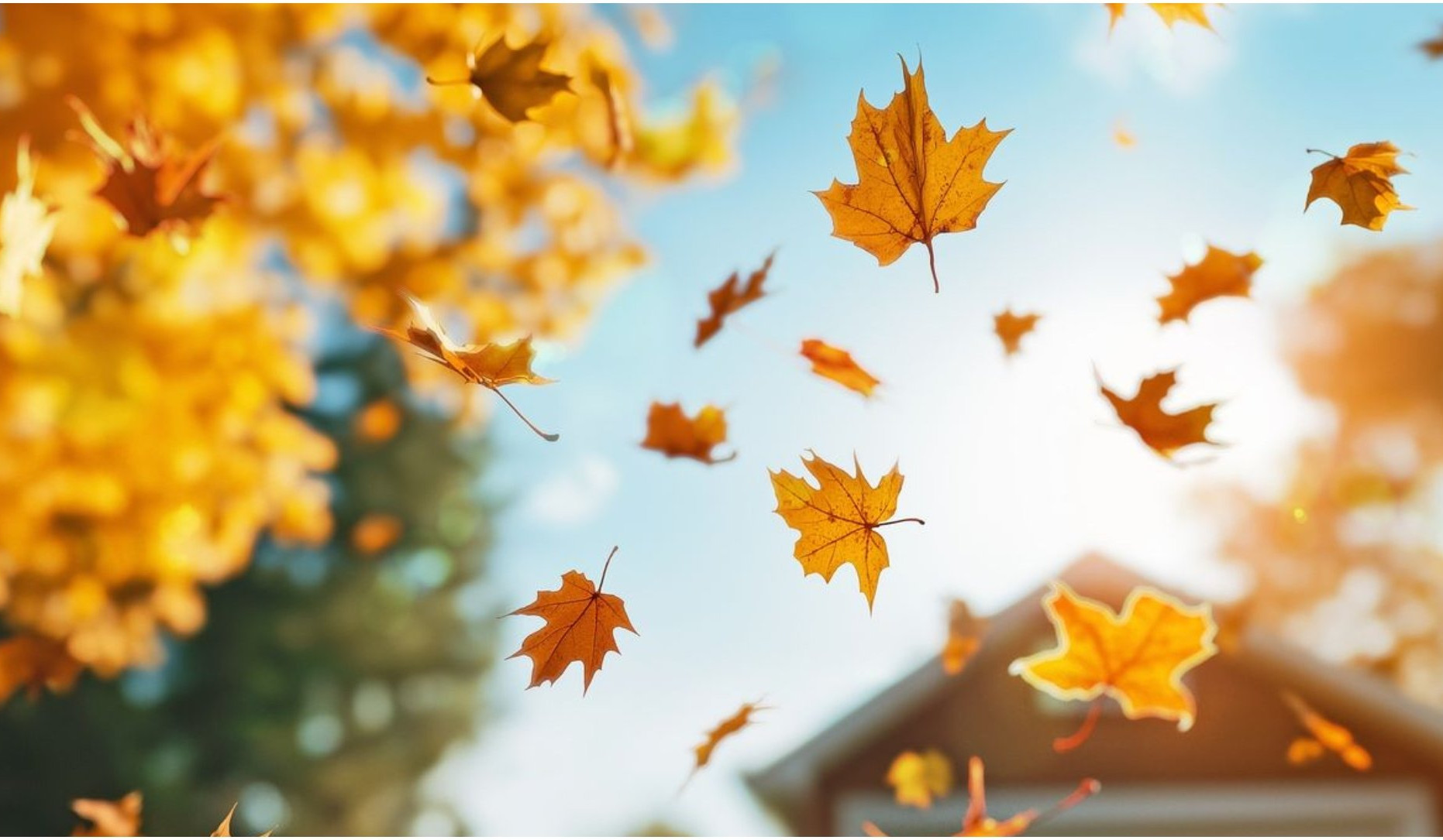 Սպասվում է առանց տեղումների եղանակ. ջերմաստիճանը կնվազի 2-4 աստիճանով