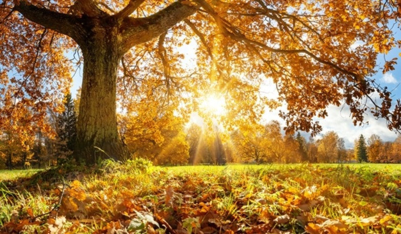 Առաջիկա օրերին սպասվում է առանց տեղումների եղանակ