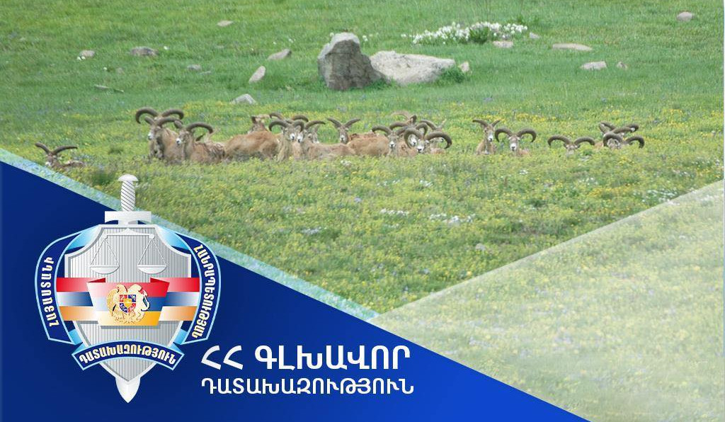 ՀՀ սեփականության իրավունքն է վերականգնվել 13 268 հեկտար մակերեսով հողատարածքի նկատմամբ