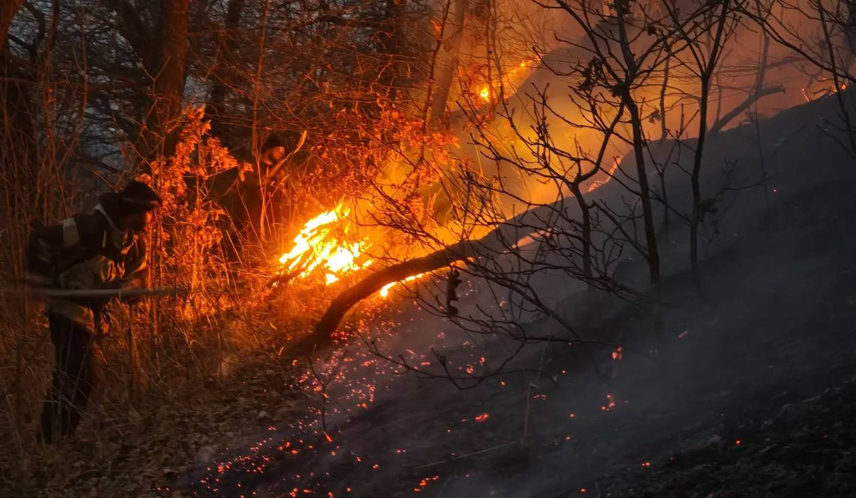 Տավուշի մարզի խոտածածկ և բուսածածկ տարածքներում բռնկված հրդեհները մարված են