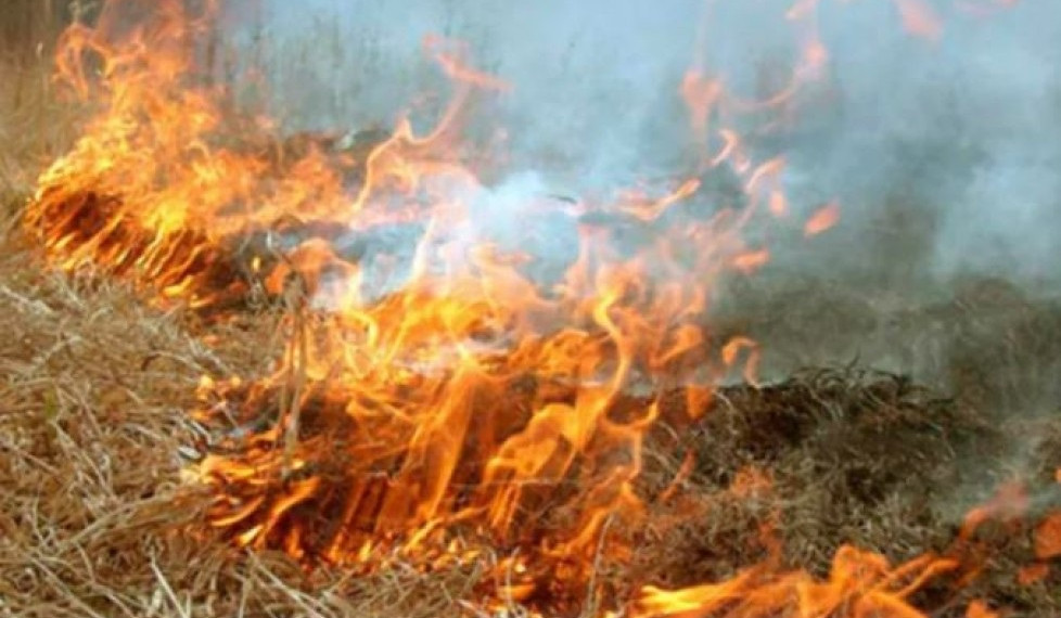 Բազումի լեռնաշղթայի գագաթին բռնկված հրդեհը մարվել է. ՆԳՆ ՓԾ