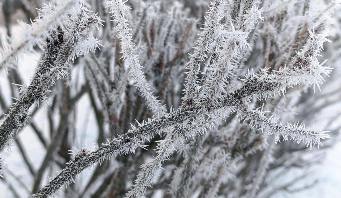Օդի ջերմաստիճանը աստիճանաբար կնվազի 3-4 աստիճանով