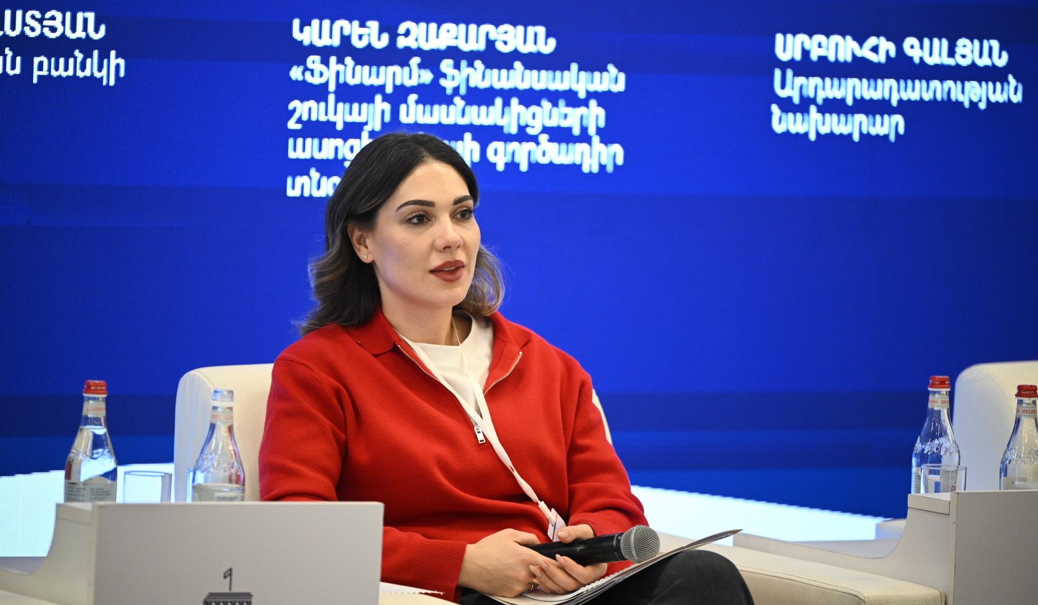 Դատարանների բեռնաթափում, թվայնացում և գործերի քննության ողջամիտ ժամկետներ. Սրբուհի Գալյանի անդադարձը մի շարք կարևոր ծրագրերի