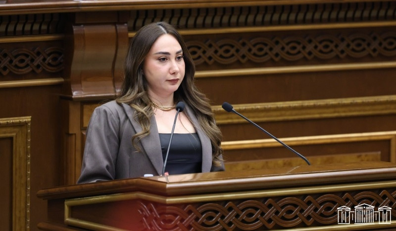 Կստեղծվեն իրավական մեխանիզմներ, որոնք կապահովեն կենդանիների բարեկեցությունն ու պաշտպանվածությունը. նախագիծ