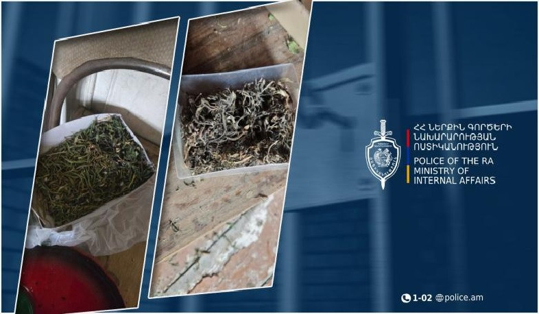 Արարատի քրեական ոստիկանները հայտնաբերել են մեկ կիլոգրամից ավելի չոր զանգված և կանեփի ճյուղեր